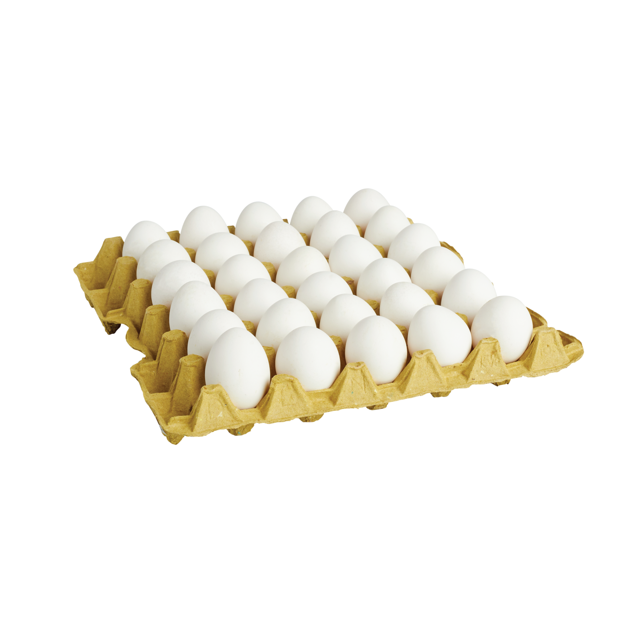 Tray-Style Egg Trays